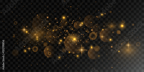 Christmas light effect. Sparkling golden magic dust particles.Vector illustration.EPS 10.