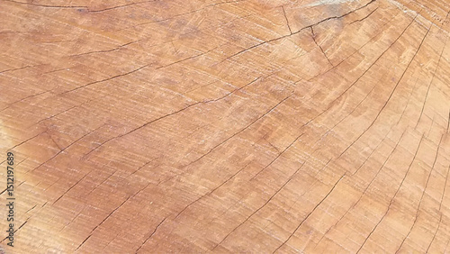 Veneer wooden texture background ,  Surface of teak wood background for design and decoration. 