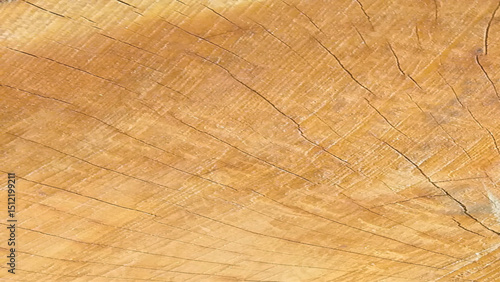 Real natural wood texture and surface background ceramic marble tiles high resolution design. 