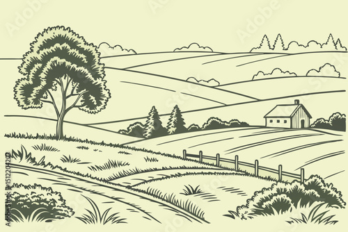 Green grass field on small hills. Meadow, alkali, lye, grassland, pommel, lea, pasturage, farm. Rural scenery landscape panorama of countryside pastures. Vector sketch line illustration