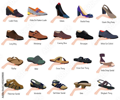 Set of Footwear Collection with name Vector Art