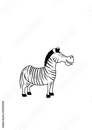 zebra vector illustration