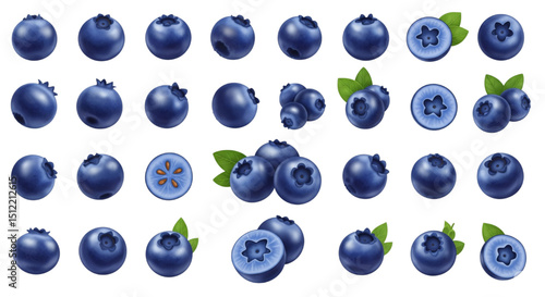 A collection of realistic blueberry illustrations, including single berries, clusters of blueberries, and halved blueberries showing the internal structure, some with green leaves.