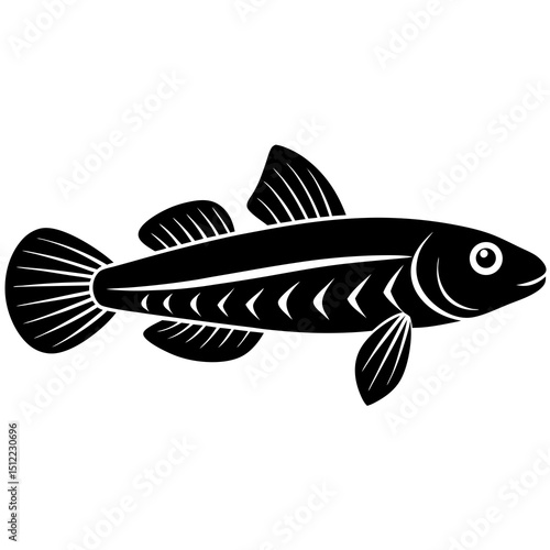 fish on a white background