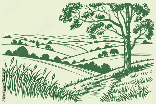 Vector sketch Green grass field on small hills. Meadow, alkali, lye, grassland, pommel, lea, pasturage, farm. Rural scenery landscape panorama of countryside pastures. illustration