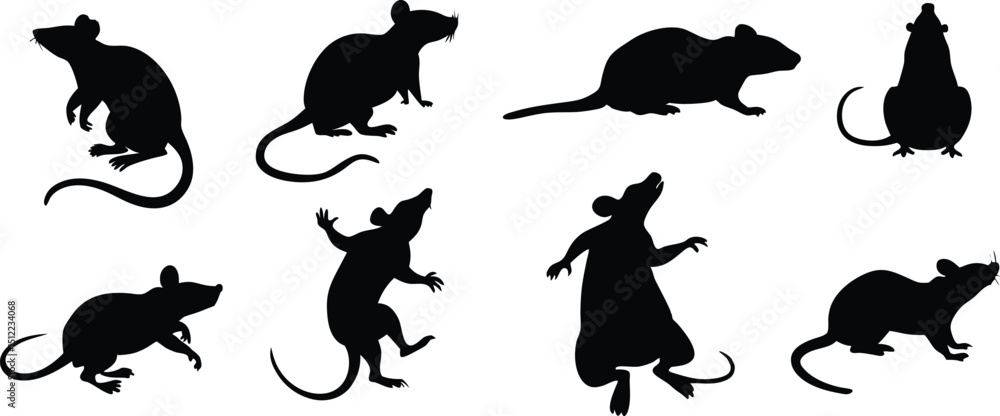 Obraz premium black rat silhouettes illustration.