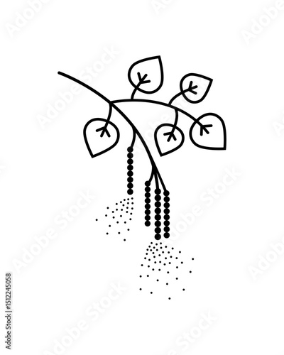 Birch tree pollen, line art vector illustration.