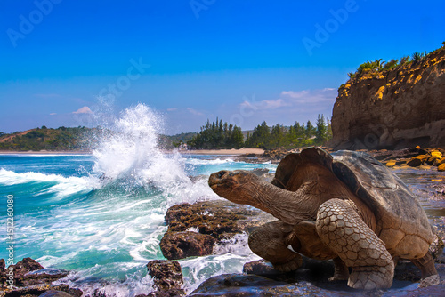 Galapagos Islands. Galapago...