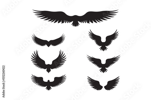 Artistic bird wings design elegant and colorful avian artwork