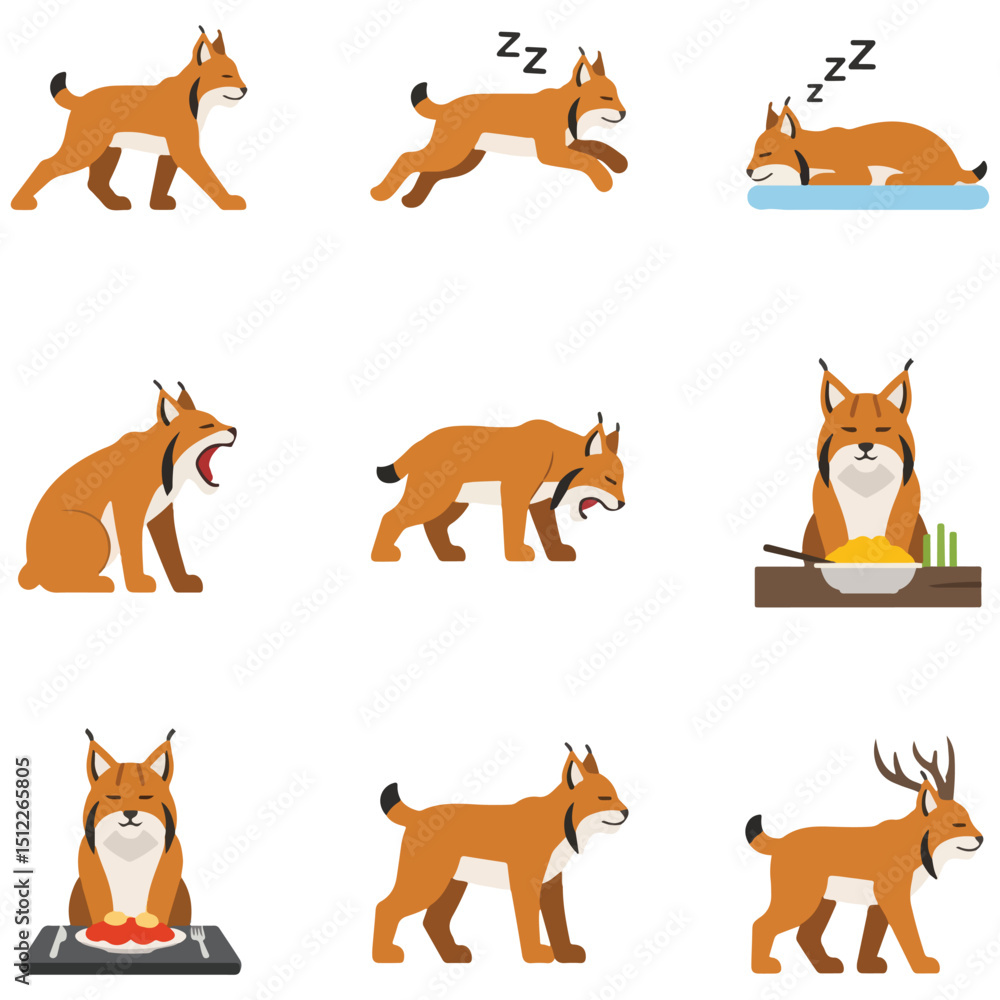 Fototapeta premium Nine illustrations of a lynx in various poses and activities on a white background