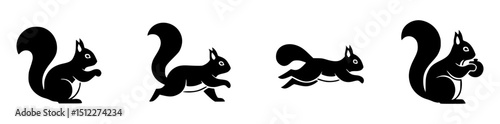 Four stylized silhouettes of squirrels in various poses against a white background.