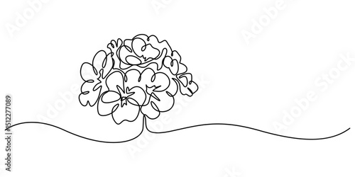An illustration of a Saintpaulia flowering plant on a white background, African violet in continuous line art drawing style. Saintpaulia flowering plant black linear sketch isolated on pro vector.
