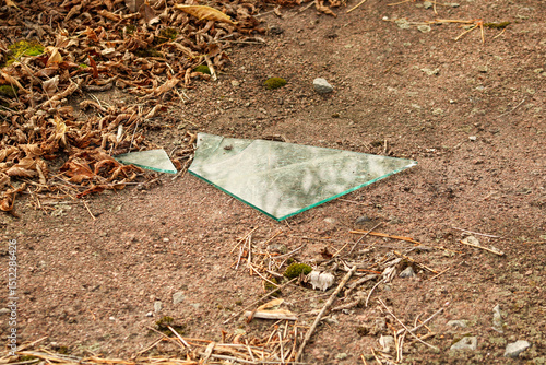 Another close-up of a broken glass fragment, lying among dried leaves and twigs, highlighting decay and texture