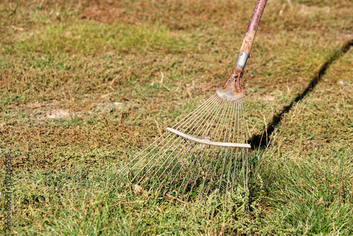 A rake lying on a grassy surface, its curved metal tines designed for gathering leaves or soil. The simple composition highlights its purpose in gardening or landscaping	
