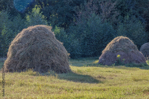 Two large haystacks sit in a grassy field, framed by trees in the background. The natural setting highlights agricultural practices and rural simplicity	
