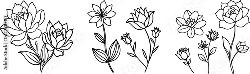 set of various flower line drawings on white background, minimal botanical illustrations in black ink, hand-drawn floral elements with delicate details
