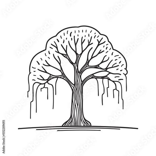 A tree whose limbs hang close to the ground