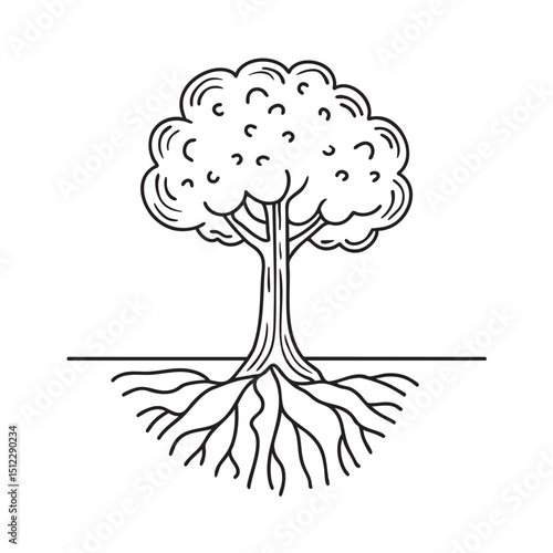 A tree with some of its roots above ground