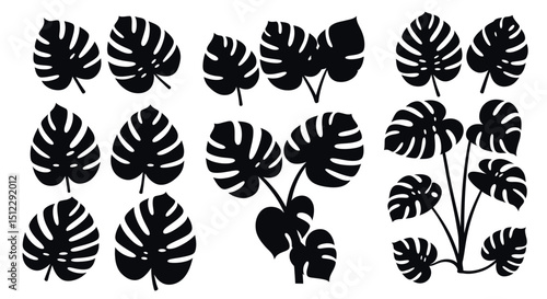 Silhouette collection of monstera deliciosa leaves in various arrangements