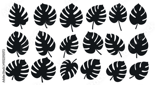 Seamless monstera leaf pattern in black and white silhouette design
