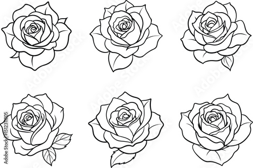 set of rose line art illustrations, various bloom stages and angles, thin vector strokes with graceful floral shapes, isolated on white background
