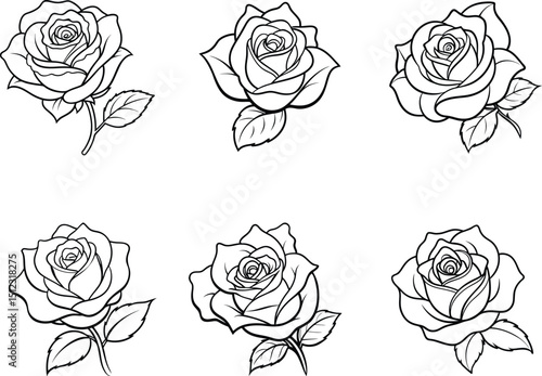 detailed line art vector of a rose in full bloom, side view with soft petal curves and stylized leaves, monochrome floral illustration on clean background
