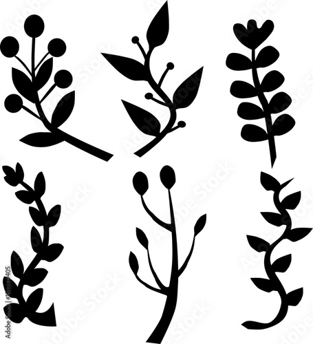 Gałązki i liście – botaniczna ilustracja wektorowa