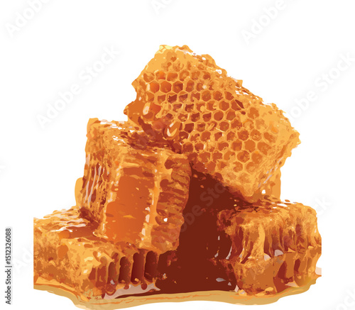 honeycomb with honey vector