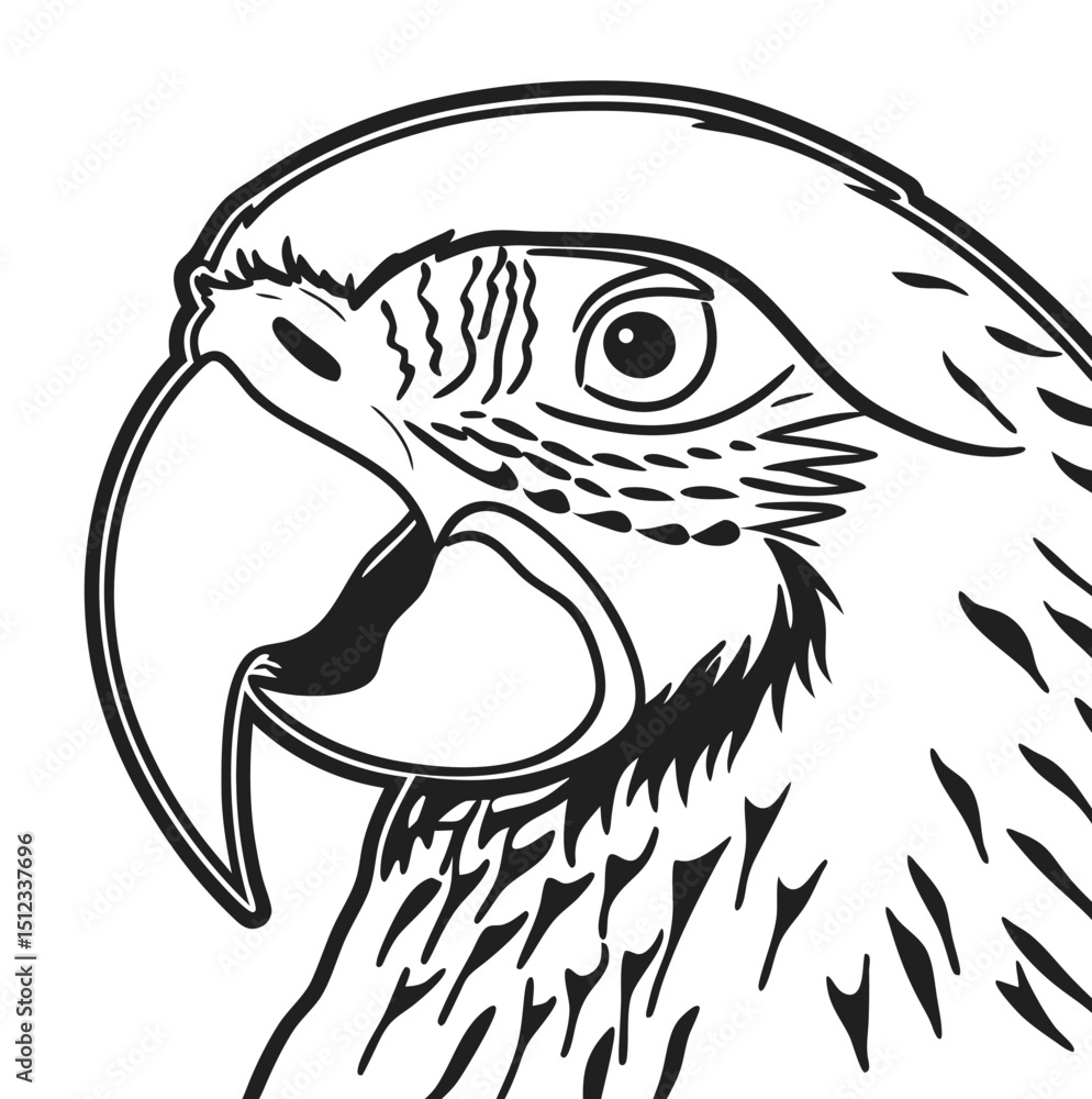 Fototapeta premium head of a eagle