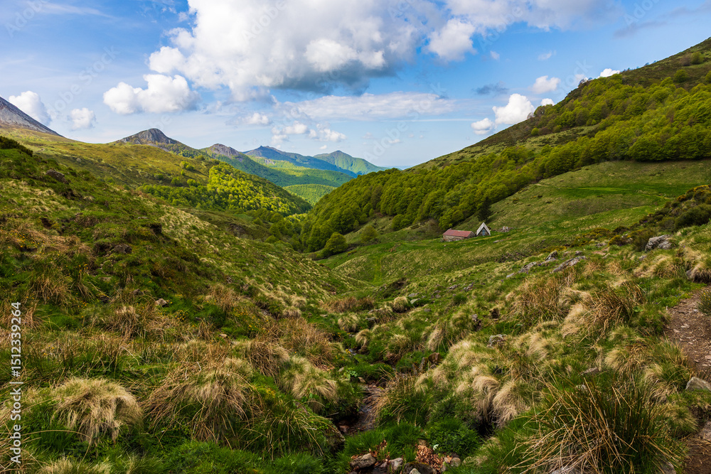 Obraz premium Stream forming the valley of the Jordanne near its source
