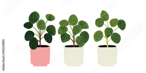 Three potted plants with ro...