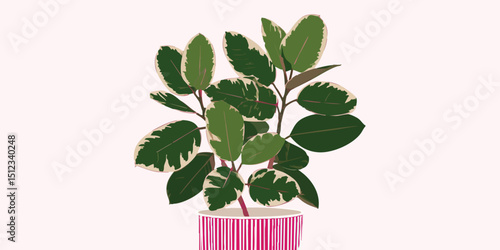 A vibrant, healthy, potted plant featuring lush leaves against a soft background. The focus is on the plant, showcasing its natural beauty.