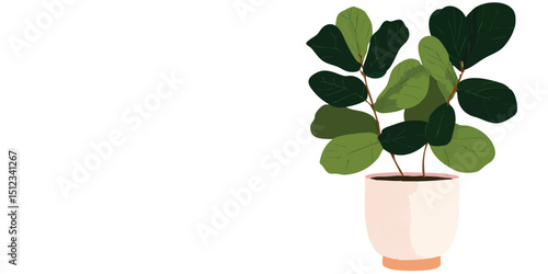 A charming illustration showcases a potted fiddle leaf fig, with its lush, broad leaves. The art conveys an appreciation for nature and a sense of serenity.