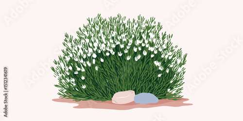 A detailed illustration sho...