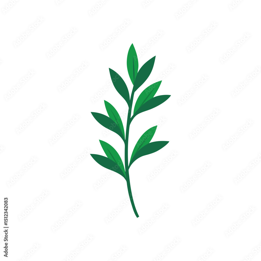 tarragon vector tarragon vector