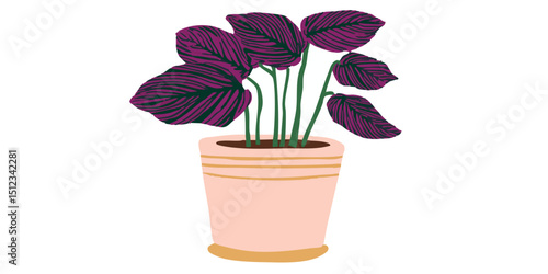A captivating houseplant with rich, deep purple leaves flourishes inside of a stylish ceramic pot, adding a touch of elegance and serenity to any interior space.