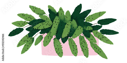 A vibrant houseplant in a s...