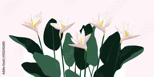 A close-up depiction of elegant white flowers, standing tall with vibrant green leaves, an embodiment of floral beauty.