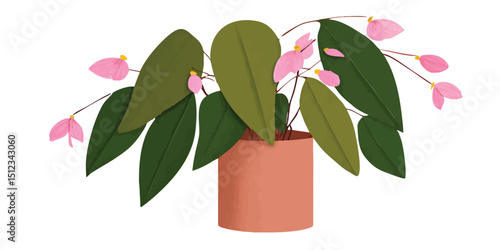 A charming illustration of ...