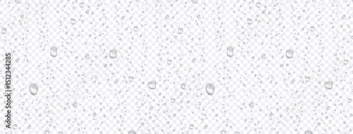 Water rain or shower drops seamless border isolated on transparent background. Realistic pure droplets condensed texture. Vector clear vapor bubbles on window glass surface