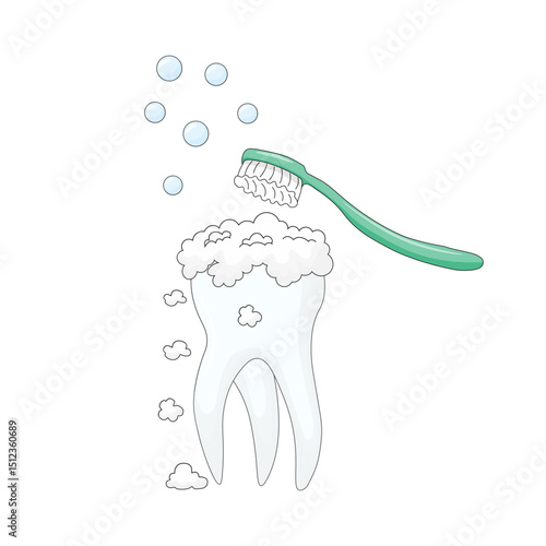 white background, personal hygiene procedure for cleaning the surface of the teeth from food debris and soft plaque, performed with a green toothbrush and toothpaste