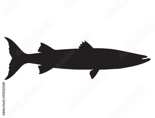 Barracuda Fish Silhouette
