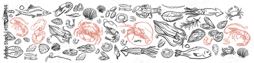 Isolated vector set of seafood. Shrimps, langoustines, prawns, salmon, trout, oysters, mussels, squid, crab, lemon.Hand-drawn seafood delicacy, restaurant and marine cafe menu.