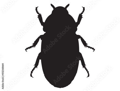 Beetle Silhouette White Background