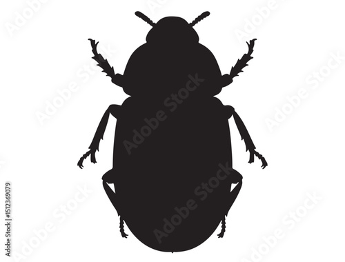 Beetle Silhouette White Background
