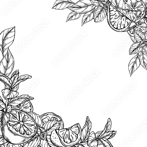 Fresh lemon slices and mint sprigs monochrome vector border painted by black inks. Template with copy space for text. Citrus fruit and melissa herbs illustration for cafe menu, summer party decor