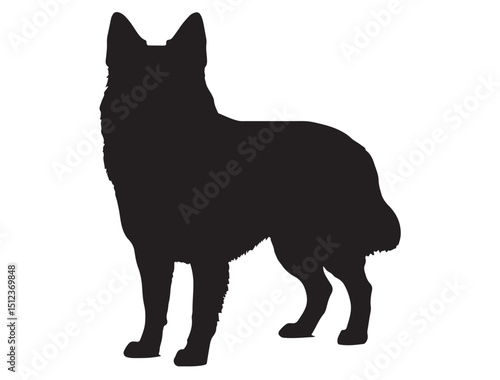Belgian Shepherd Silhouette