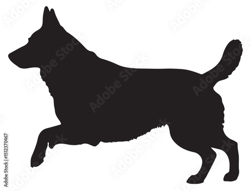 Belgian Shepherd Silhouette