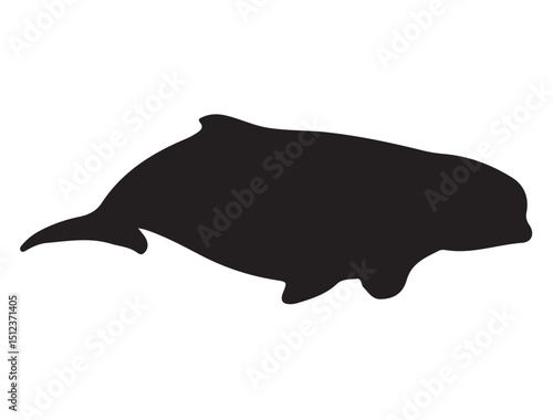 Beluga Whale Silhouette