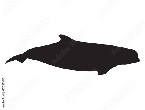 Beluga Whale Silhouette